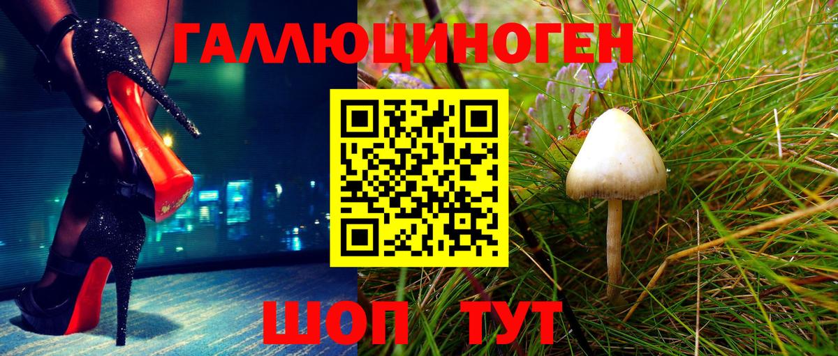 Галлюциногенные грибы Psilocybine cubensis Люберцы